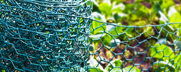 grillage pour son jardin